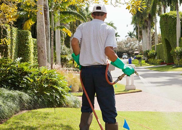 About Villa Rica GA Pest Control Pros
